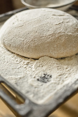 Dough on the baking tray