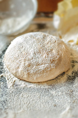 Fototapeta na wymiar Whole Grain Flour Dough