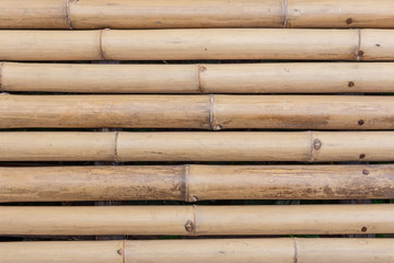 Close Up Detail of Bamboo texture and  pattern.