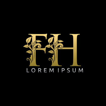Luxury Gold FH Letter Logo