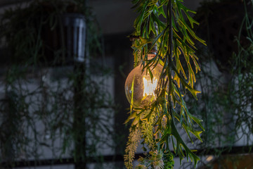 Close up light bulbs at the cafe.