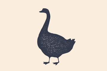 Goose, bird. Concept design of farm animals