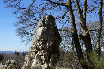 Single rock at Wildenburg