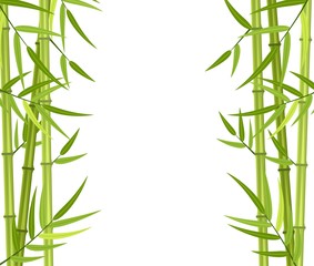 Fototapeta na wymiar Vector green bamboo stems and leaves isolated on white background with copy space. Vector illustration in flat style
