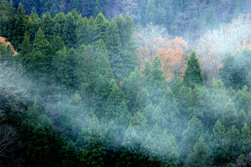 煙る山里