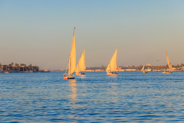 Fototapeta premium Felucca boats sailing on the Nile river in Luxor, Egypt. Traditional Egyptian sailing boats