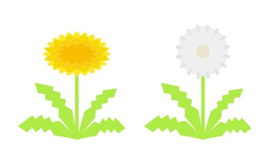 タンポポの花と綿毛 © chapinasu