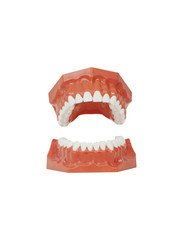 Dental tool with  isolated white background