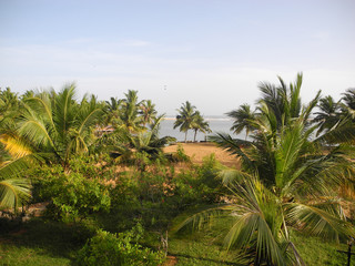 Obraz premium Coast of the Arabian sea, Indian Ocean, Kerala, Trivandrum