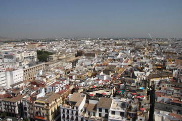 Obraz premium View of Seville from the height of the Cathedral