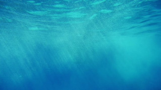 Splendid sea surface shot underwater with contrasted and blurred places in slo-mo  