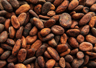 Cocoa beans background
