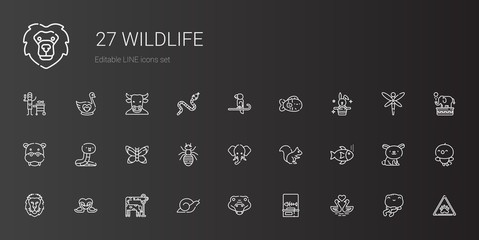 wildlife icons set