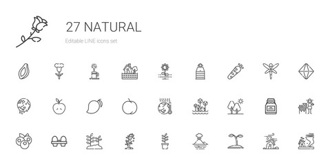 Fototapeta na wymiar natural icons set