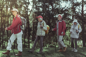 Tourists walking in the forest using trekking poles