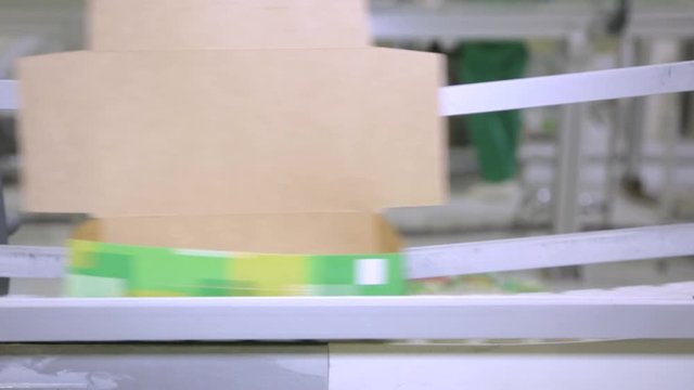 Sugar in packs on the conveyor in the factory