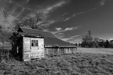 An old abandoned barn with a broken window and moss-covered roof stands alone on sloping field