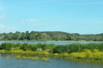Kazimierski Park Krajobrazowy