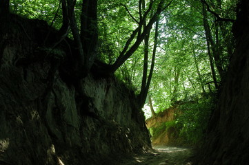 Obraz premium Kazimierz Dolny
