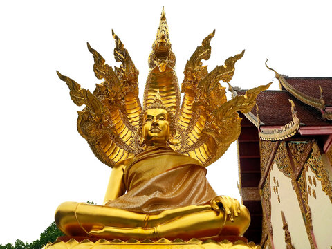 Huge Golden Buddha Sheltered by Naga Hood Statue at the Temple, Chiang Mai, Thailand