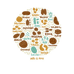 Nuts&seeds vector