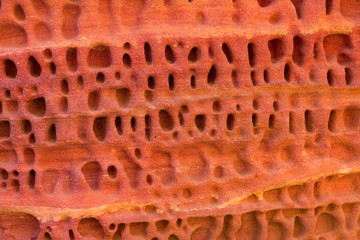 Coloured Canyon is a rock formation on South Sinai (Egypt) peninsula. Desert rocks of multicolored sandstone background.