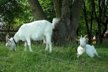 Lublin © M. G. Koperkiewicz