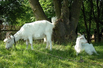 Lublin © M. G. Koperkiewicz
