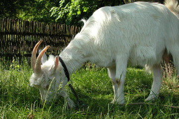 Lublin © M. G. Koperkiewicz