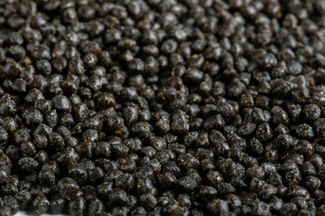 Grasgranulat, hergestellt aus Gras, Beimischung in der Kunststoffherstellung