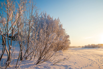 Arkhangelsk region. Winter in the vicinity of the village Levkovka.