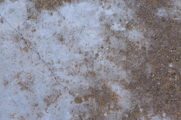 Asbestos slate texture concrete covered with lichen and moss	
