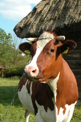 Lublin © M. G. Koperkiewicz