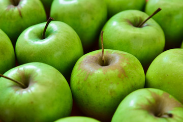 Colorful pattern of apples