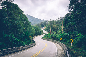 Tropical jungle. Dirt road in the jungle. Thailand, Southeast Asia. Tropical rainforest. Banana palm trees. Landscape view.