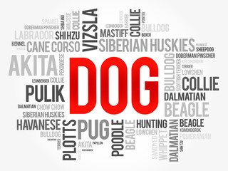 List of most popular dog breeds word cloud collage, animal concept background