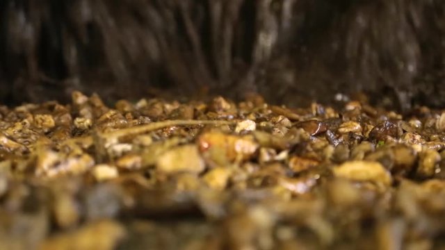 Husk of sugar beet for making sand