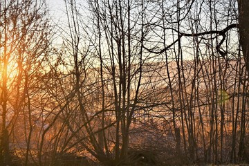 An Image of a landscape