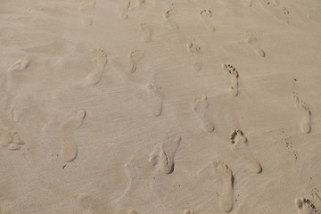 footprints in the sand