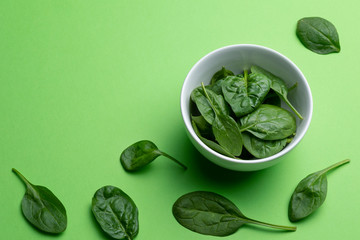 Babe spinach leaves in white bowl isolated on green background