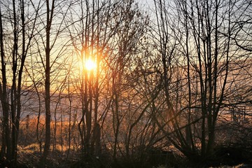 An Image of a landscape