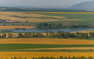 Fields with a pond. Sunflower fields with a pond. Agricultural landscape with pond, lake.