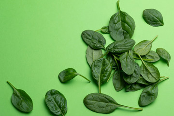 Babe spinach leaves isolated on green background