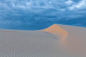 Fototapeta na wymiar Beautiful pristine white sand dune at Anna Bay, New South Wales, Australia