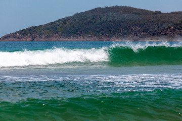 Breaking ocean wave with forested hill in the background in Australia