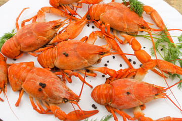 Cooked juicy red crayfish in a plate on a wooden table with a dill