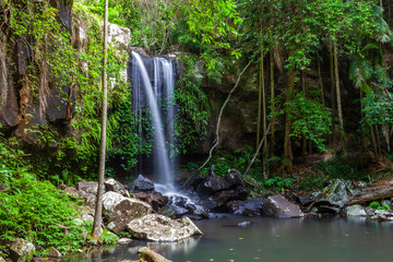 Curtis Falls in Tamborine National Park, Queensland, Australia