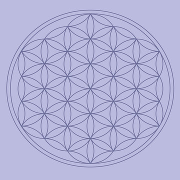 Grid for crystal meditation. Vector Sacred Geometry Flower of Life