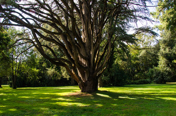 Reggia di Caserta - Giardini