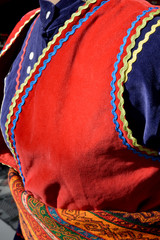 Naklejka premium woman in traditional costume